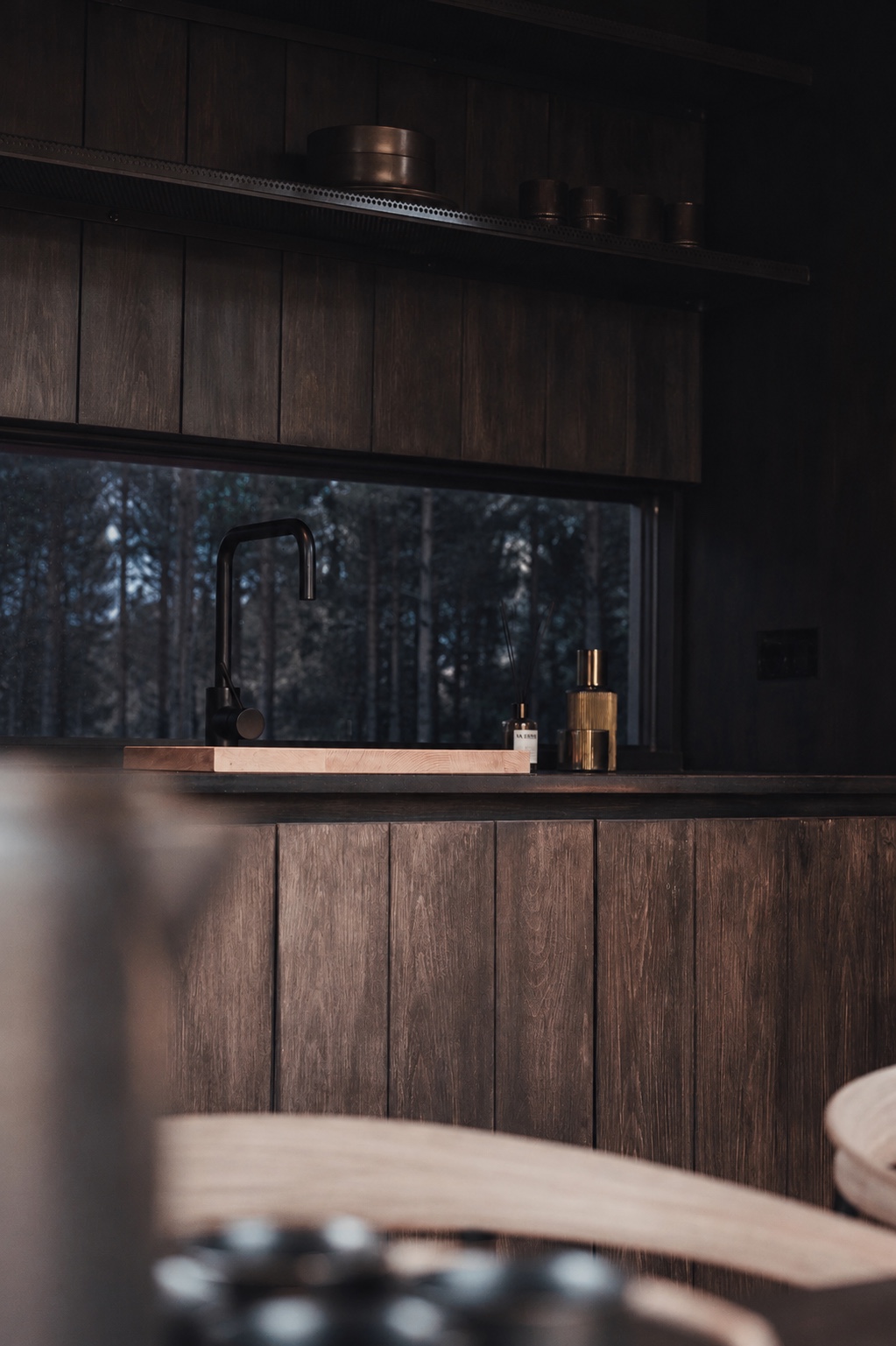 Biosuite interior — kitchen