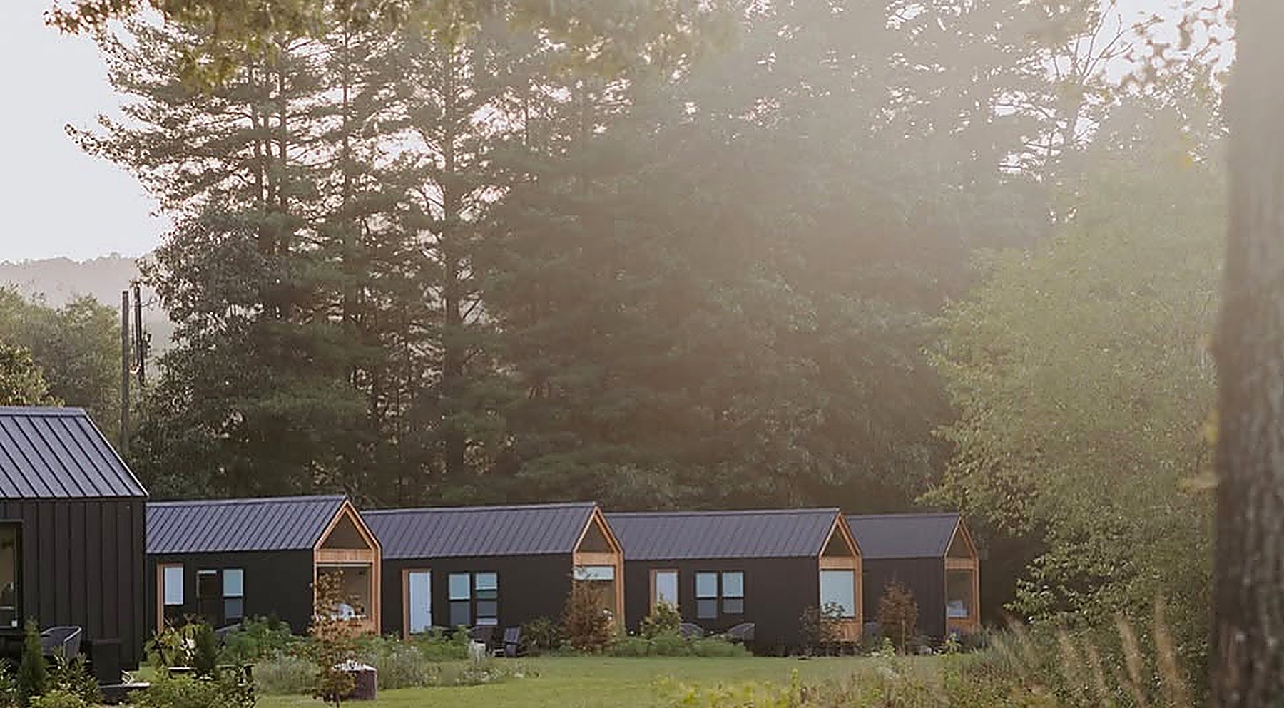 Wellness cabins in nature at dawn